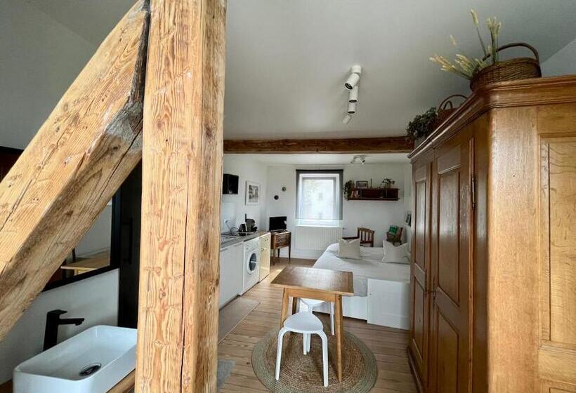 Le Passage Des Cinq   5 Min Du Tram 15 Min Strasbourg Centre