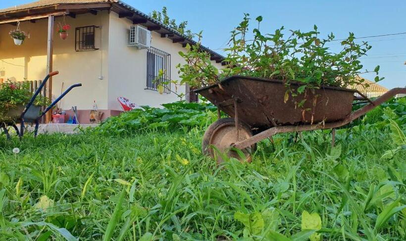 پانسیون Casa Enka