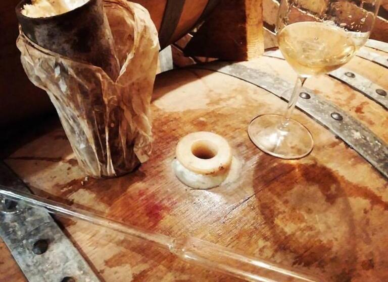 פנסיון Főczény Pince és Vendégház