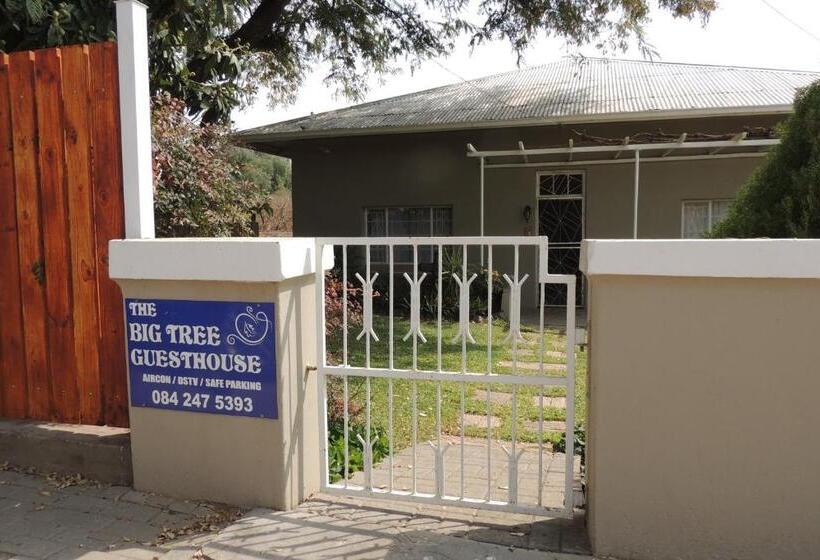 פנסיון The Big Tree Guest House