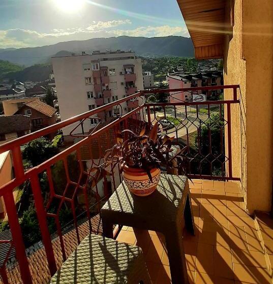 Rajska Ptica
