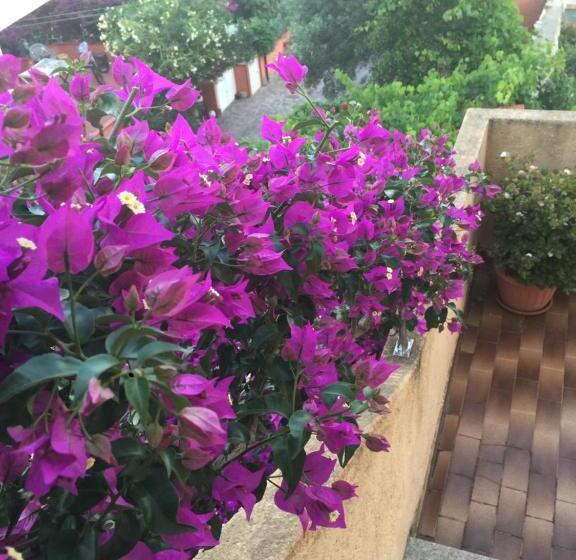 B&b Arcipelago