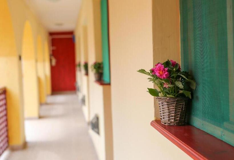 פנסיון Fűzfa Vendégház