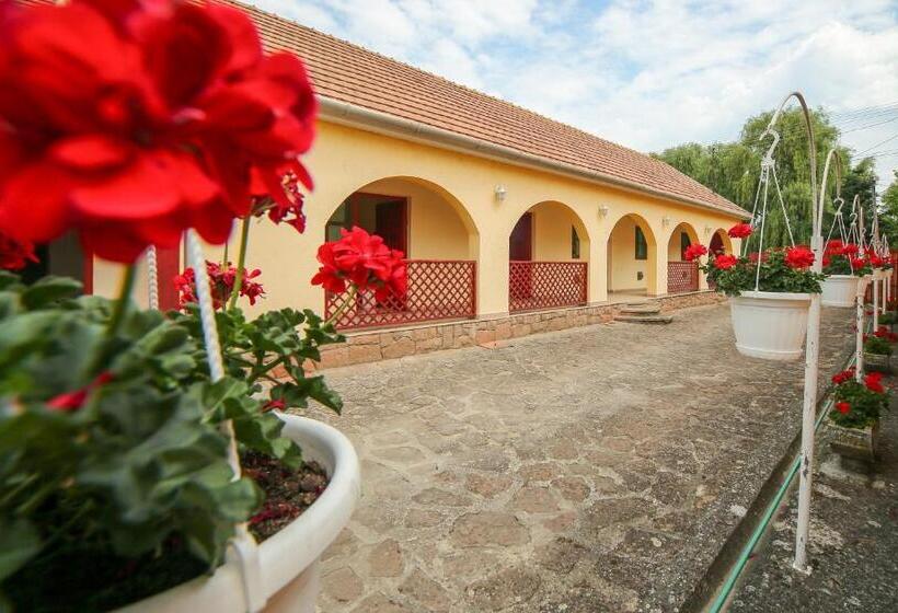 פנסיון Fűzfa Vendégház