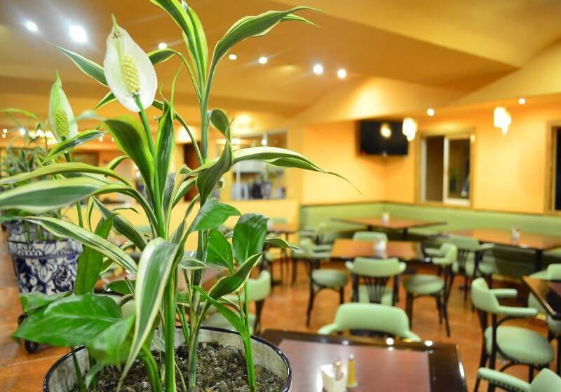 Отель Mision Orizaba