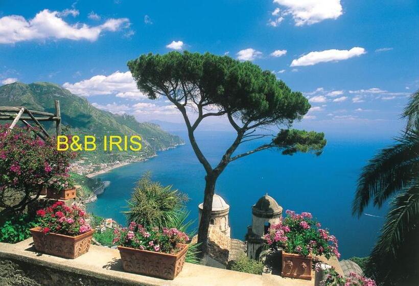B&b Iris