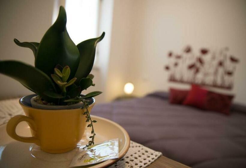 B&b Xenia