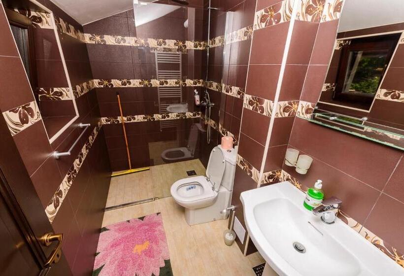 پانسیون Casa Andrei