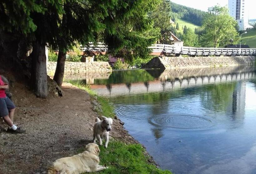 پانسیون Penzion Sluníčko