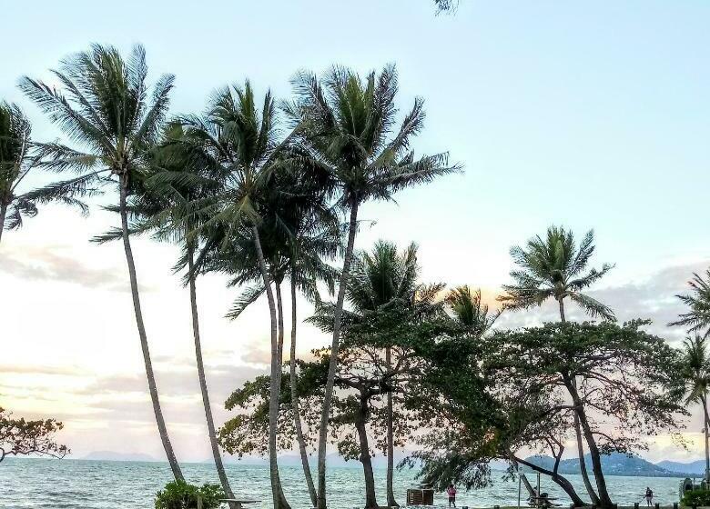Курорт Paradise In The Tropics