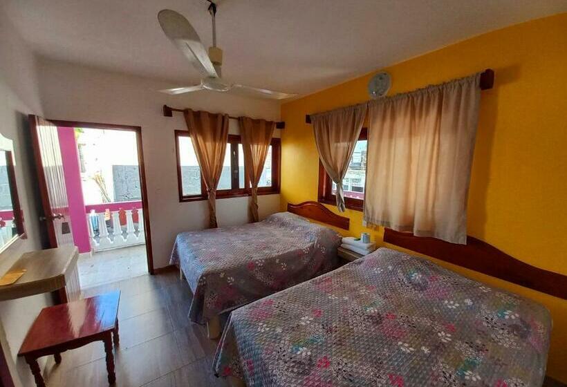 ユースホステル Posada Casa Bugambilias