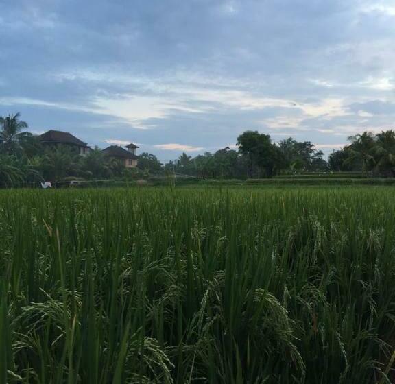 پانسیون Pondok Buda Merta