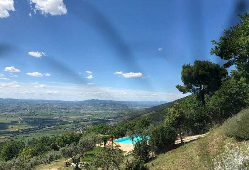B&b Belvedere