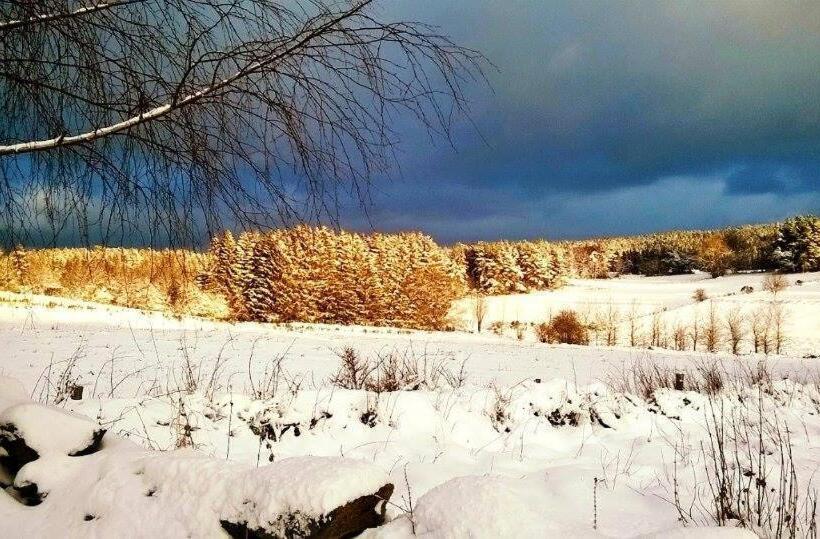 مبيت وإفطار Notre Bergerie