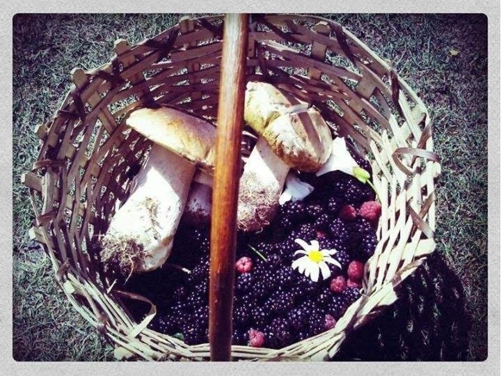 مبيت وإفطار Notre Bergerie