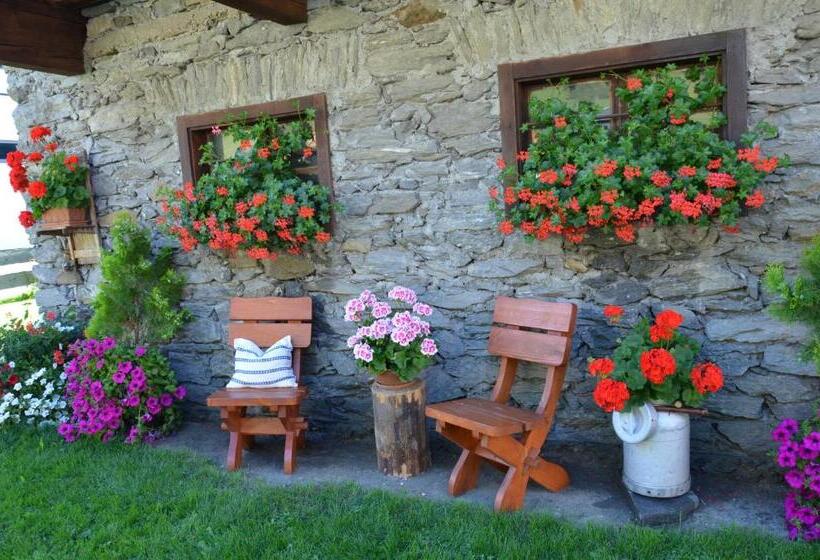 مبيت وإفطار Pension Dorfplatzl