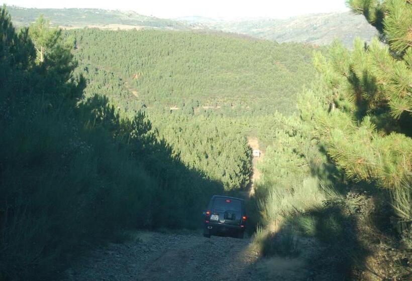 بنسيون Agro Turismo   Quinta Do Pinheiro