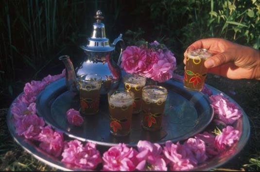 بنسيون Auberge Des Peupliers Café Restaurant