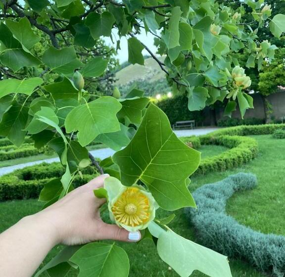 پانسیون Guesthouse Mikuláš Mikulov   Free Parking In The City Center