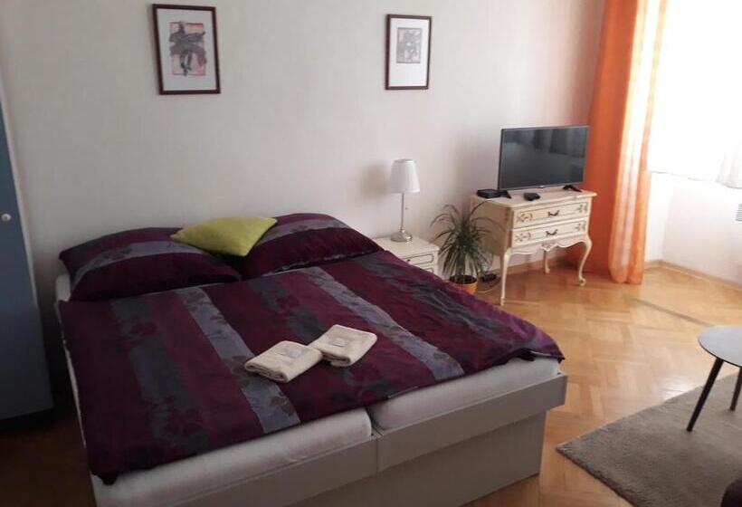 پانسیون Penzion U žabáka