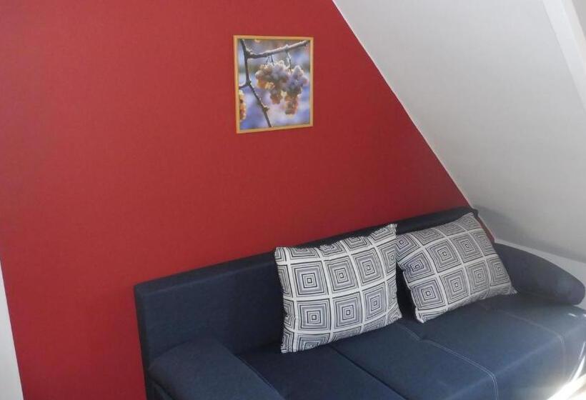 پانسیون Penzion U žabáka