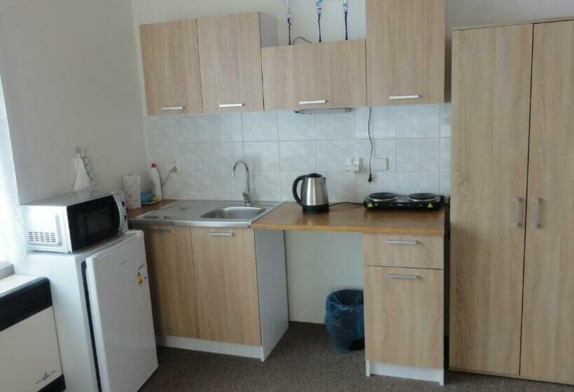 پانسیون Penzion U Hradeb