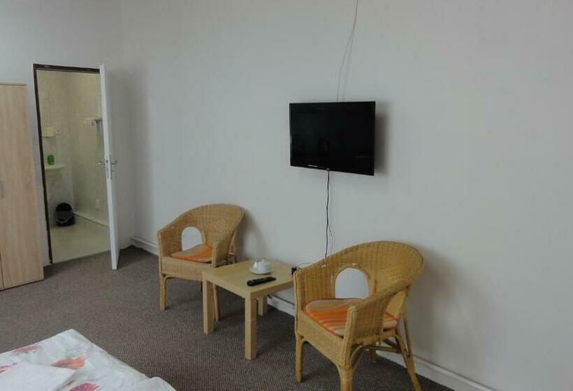 پانسیون Penzion U Hradeb