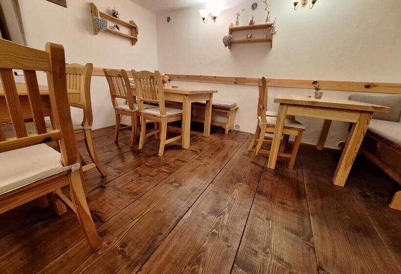 پانسیون Penzion V Suchu