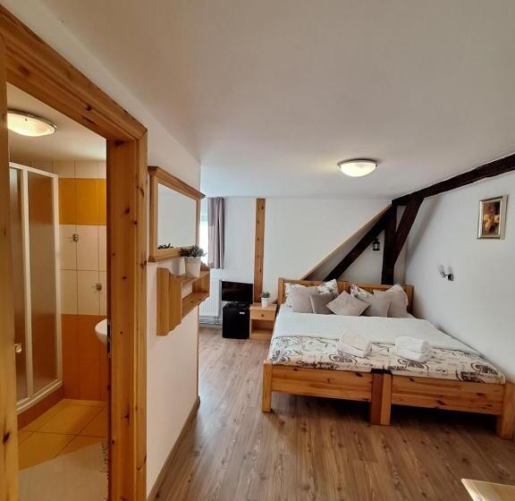 پانسیون Penzion V Suchu