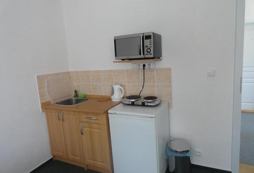 פנסיון Penzion Ve Vile