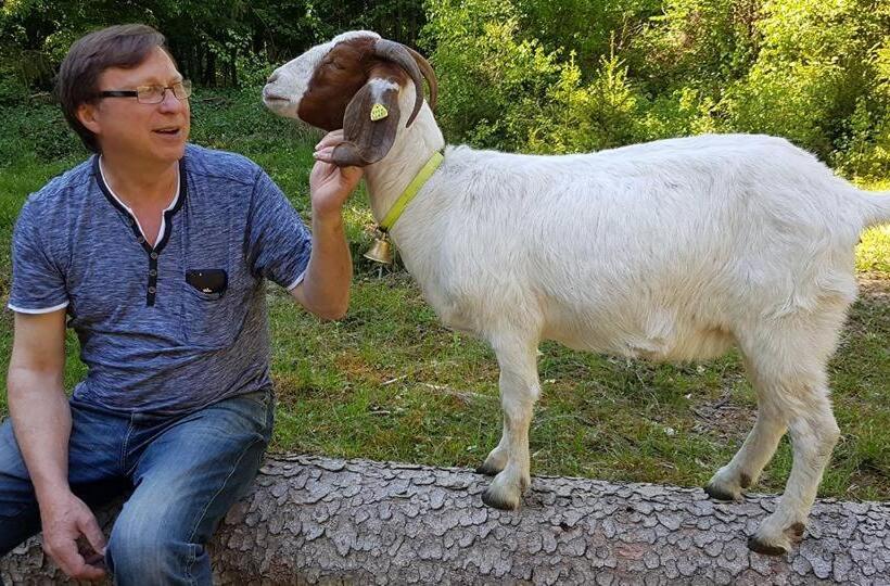 Pension & Apartments Linkemühle