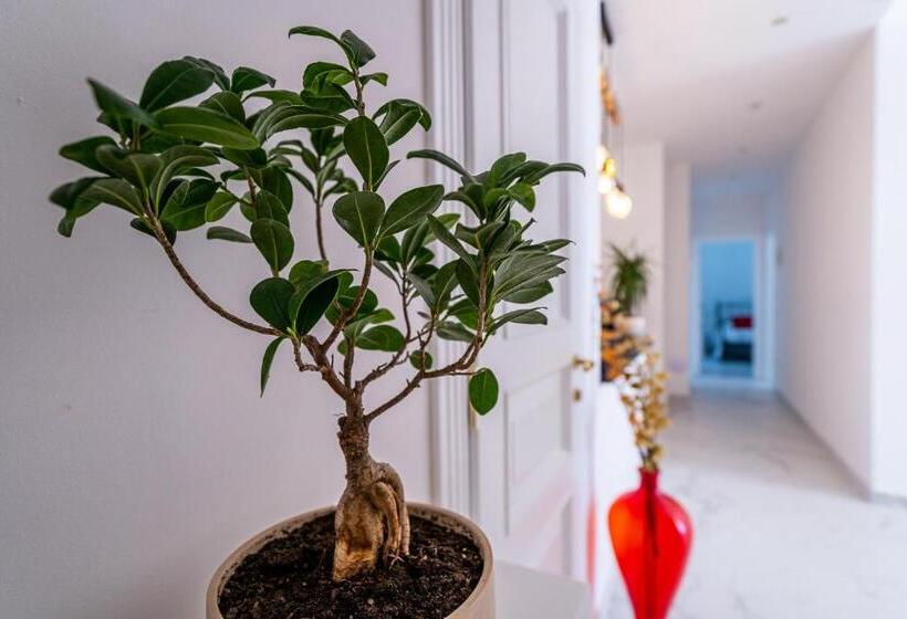 Bed and Breakfast Domus Mare Cilento