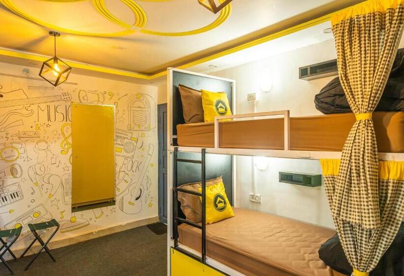 Lushtree Backpackers   Hostel & Cafe