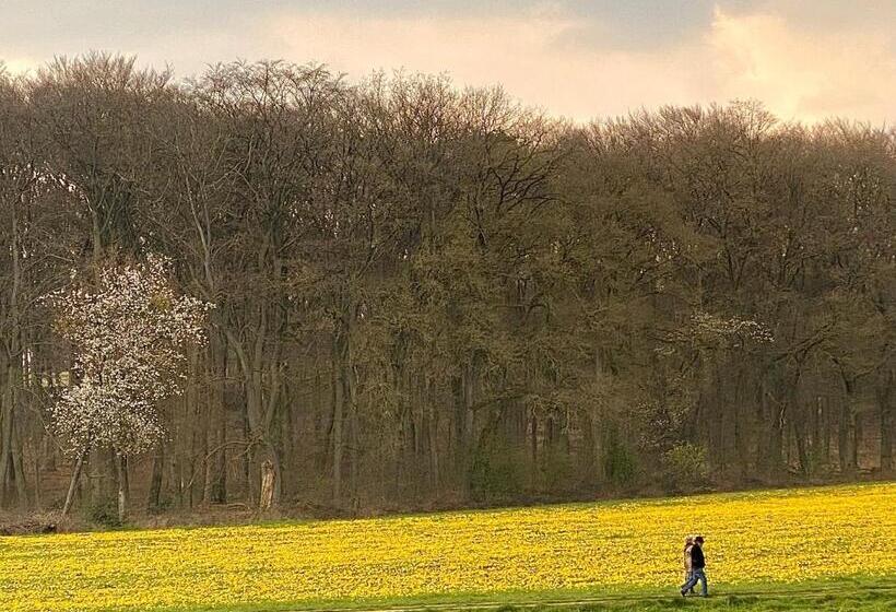 Appartement Osso Arnhem