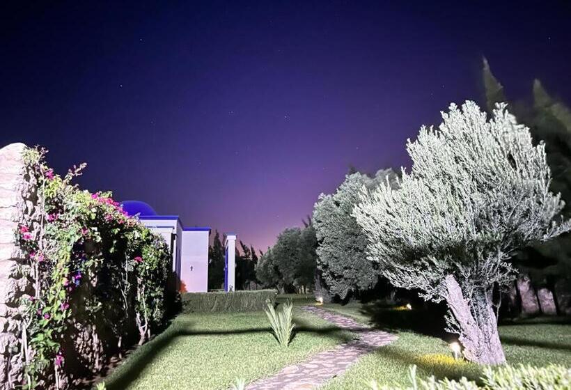 تختخواب و صبحانه Dar Yanis