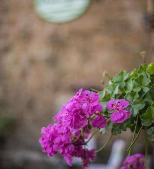 B&b Etruscan Garden