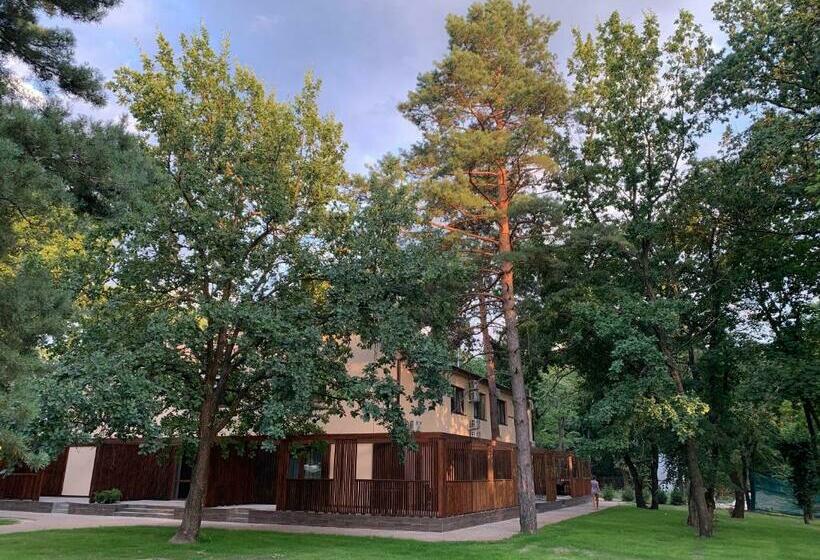апартаменти у лісі