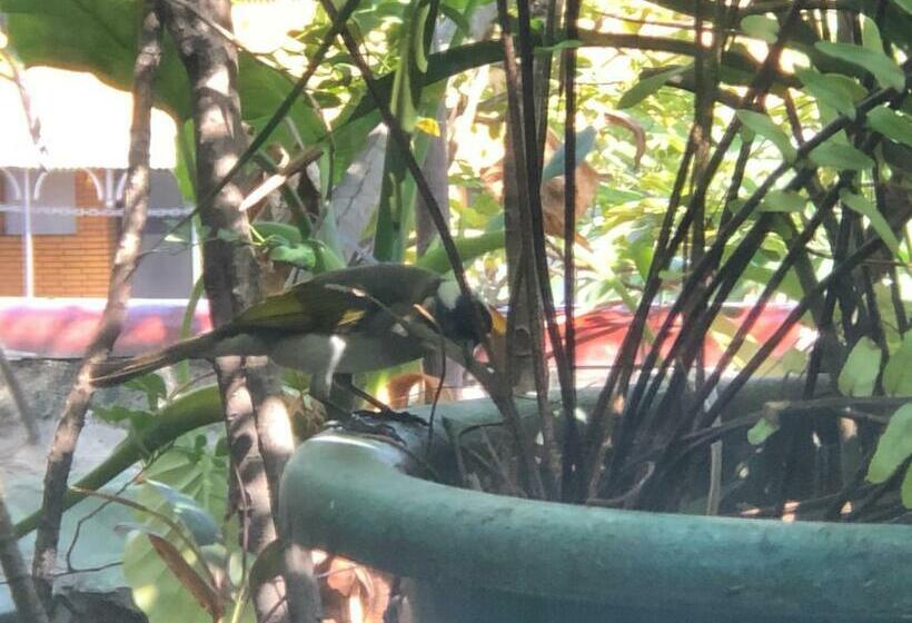 تختخواب و صبحانه 紅色鐵門