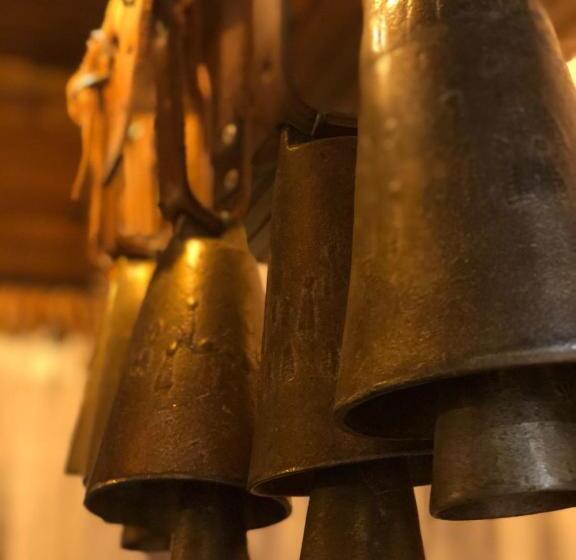 Pension (Hôtel basse catégorie) андреева къща