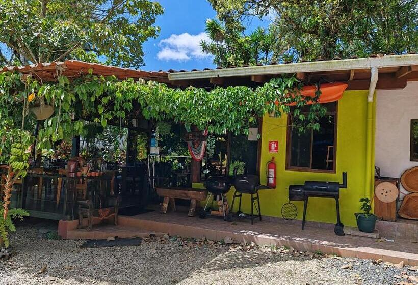 住宿加早餐  La Ceiba Tree Lodge