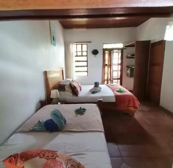 住宿加早餐  La Ceiba Tree Lodge
