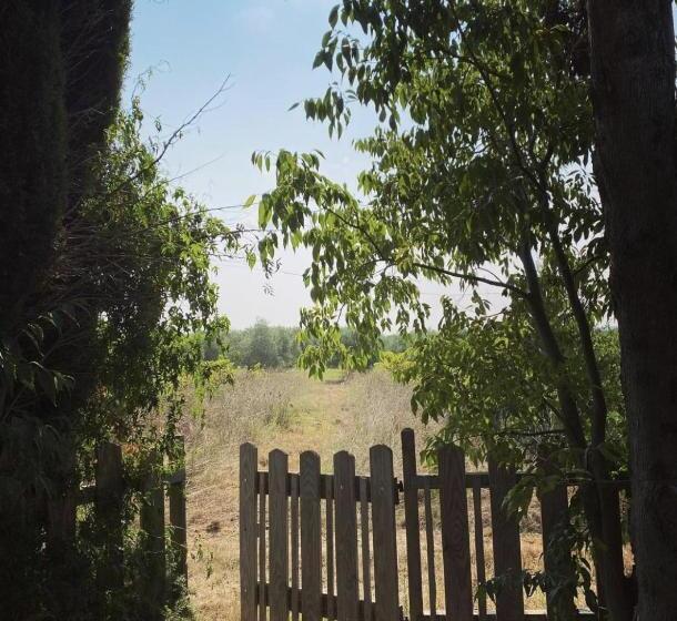 تختخواب و صبحانه Le Mas Du Lac