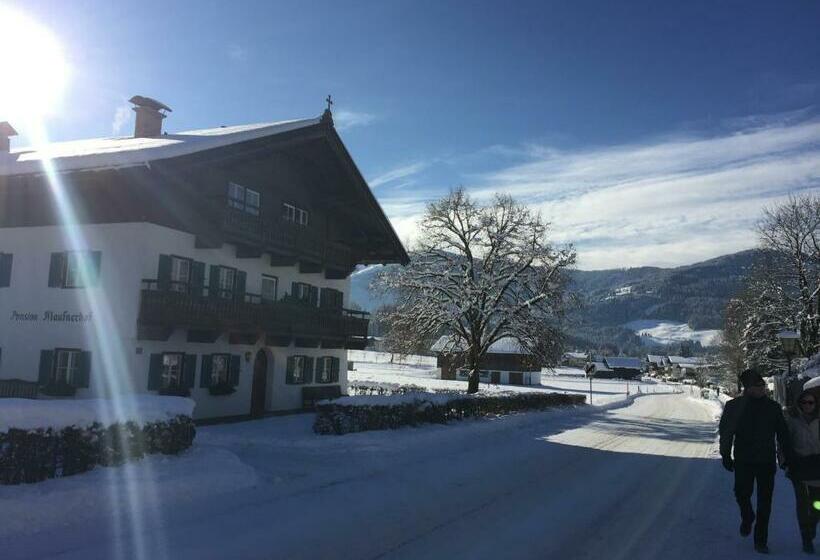 Bed and Breakfast Pension Klausnerhof