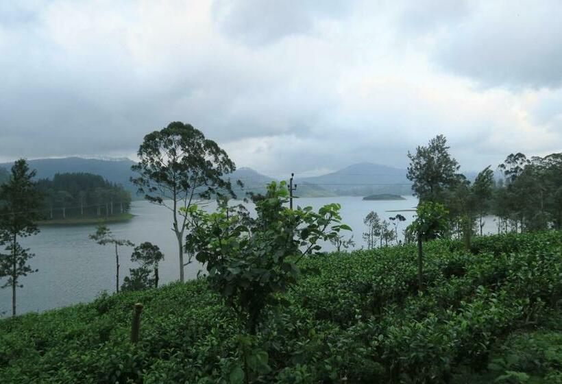 Пансион Mango Tree Nearest Adam S Peak