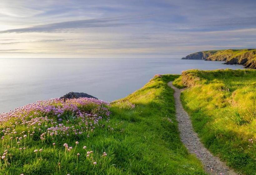 بنسيون Gwynfryn Guest House