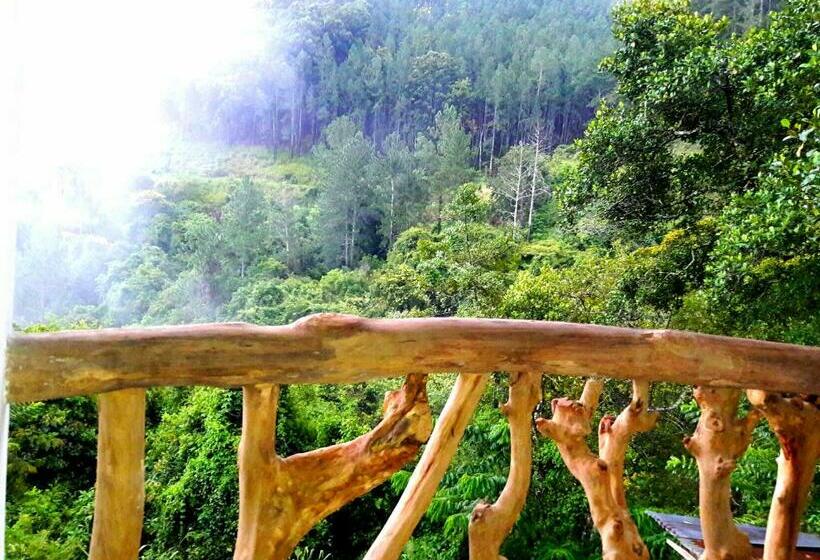 پانسیون Green Paradise
