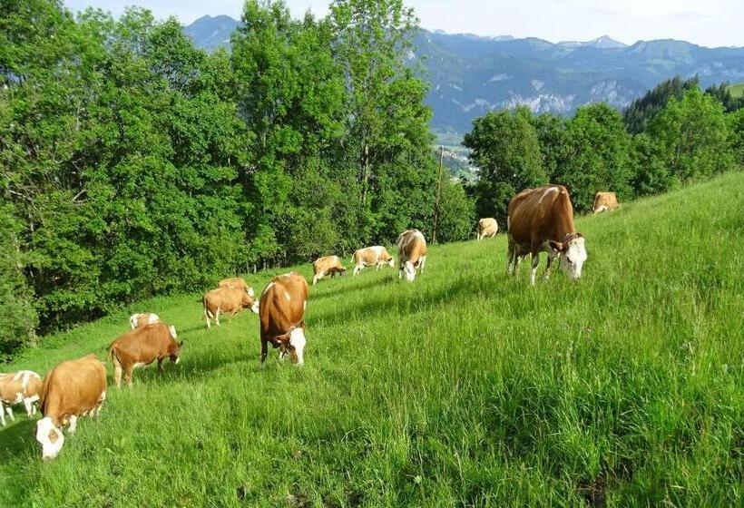Bio  Erlebnis Bauernhof Thonnerhof