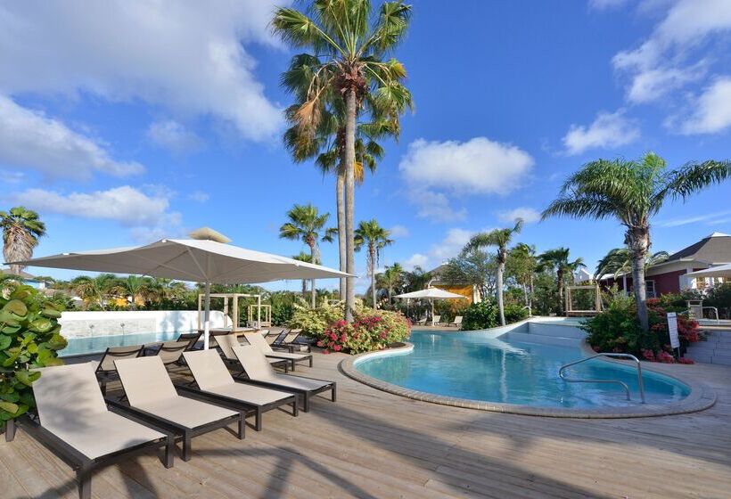 هتل Chogogo Dive & Beach Resort Curacao