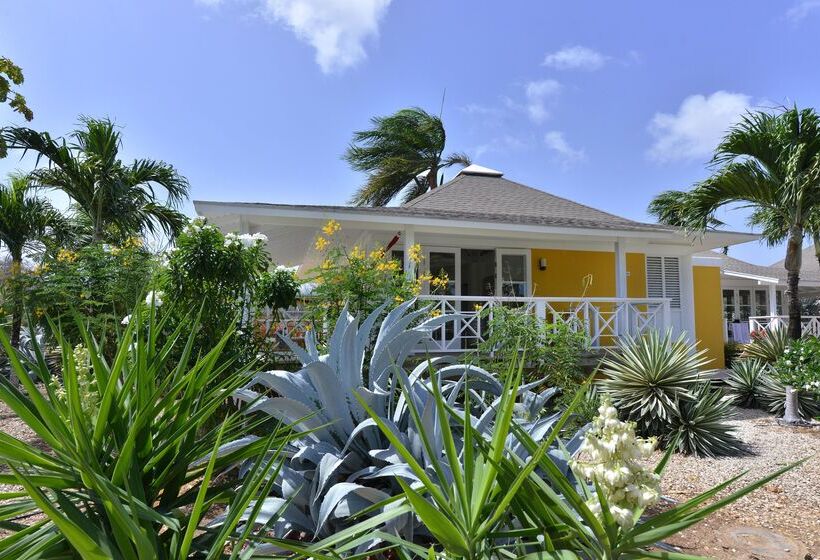هتل Chogogo Dive & Beach Resort Curacao