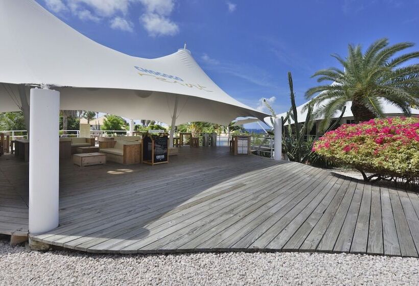 هتل Chogogo Dive & Beach Resort Curacao